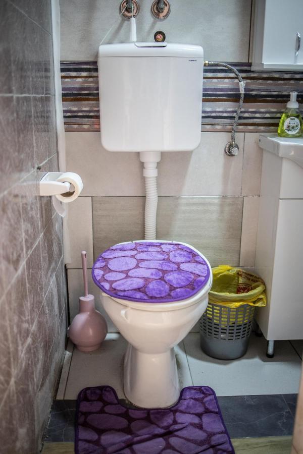 Prenociste Indija Hrvic Apartment Екстериор снимка