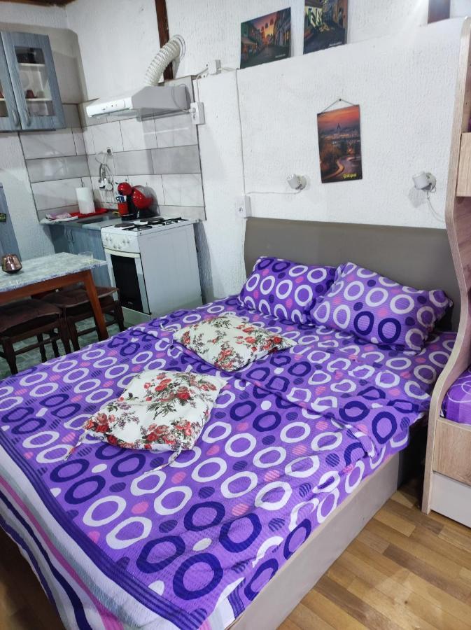Prenociste Indija Hrvic Apartment Екстериор снимка